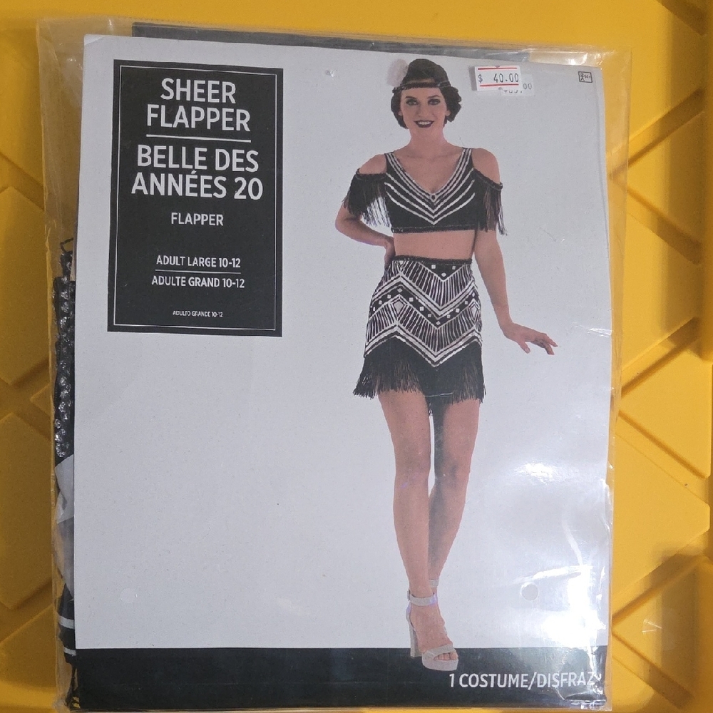 *BRAND NEW* Sheer Flapper Costume in Black and White